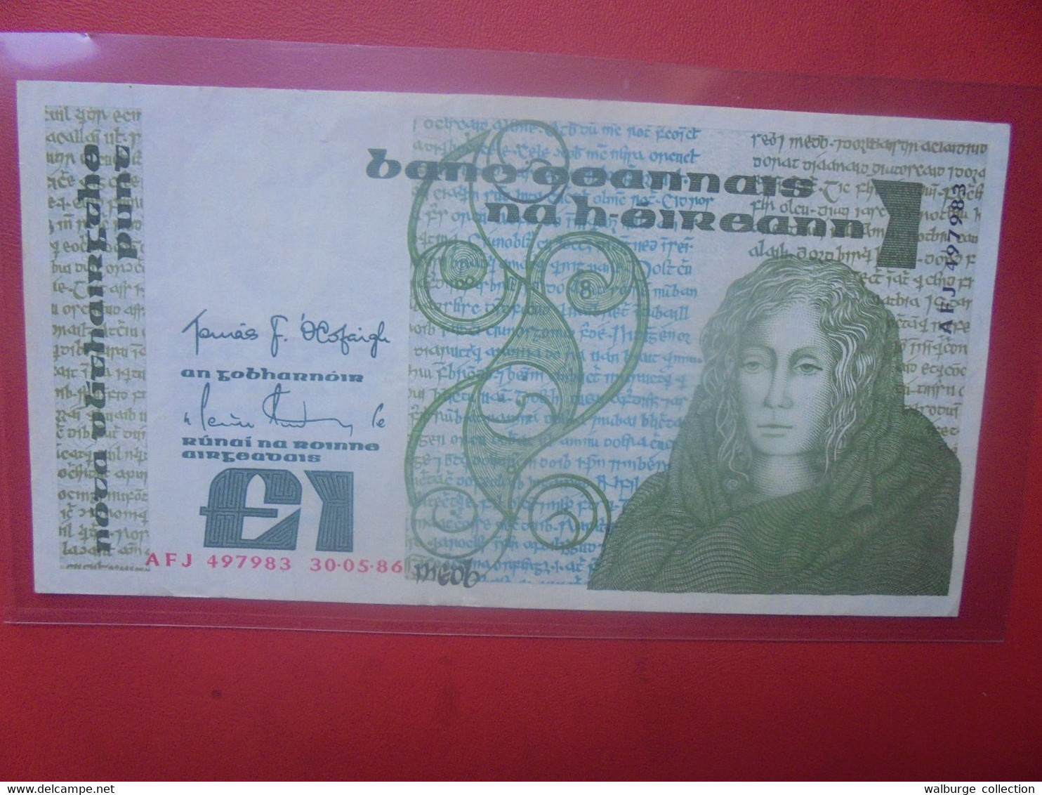 IRLANDE 1 POUND 1986 Circuler (B.28) - Ierland