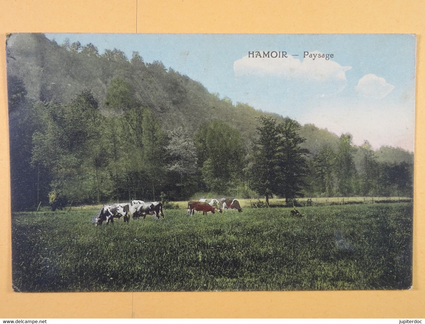 Hamoir Paysage (colorisée) - Hamoir
