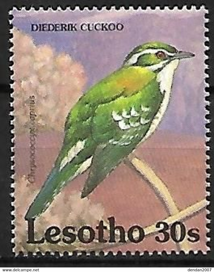 Lesotho - MNH ** 1992 :      Diederik Cuckoo  -  Chrysococcyx Caprius - Cuckoos & Turacos