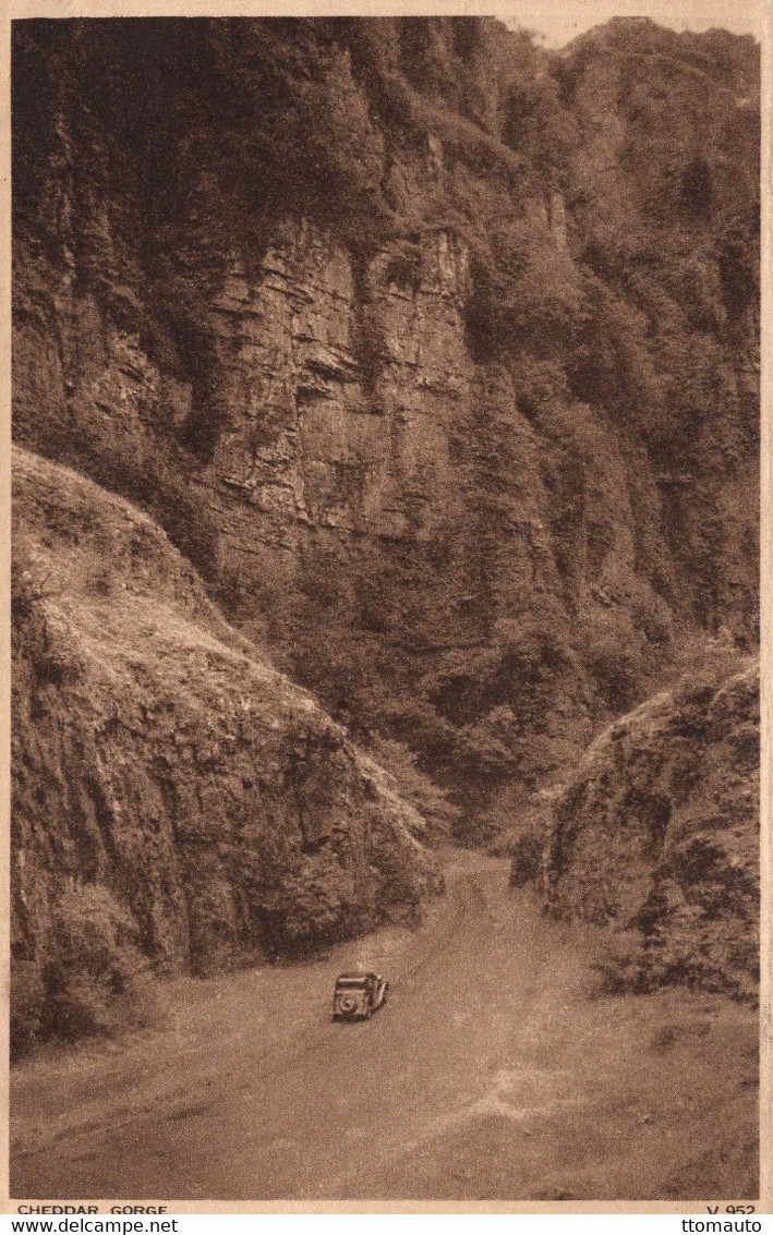 Cheddar -  The Gorge  - Old Postcard - CPA - Cheddar