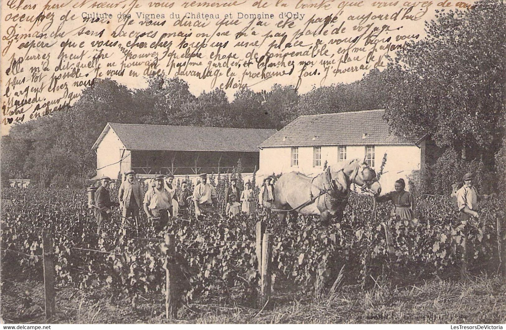 CPA Thèmes - Agriculture - Culture Des Vignes Du Château Et Domaine D'Orly - Dos Non Divisé - Oblitérée - Animée - Weinberge