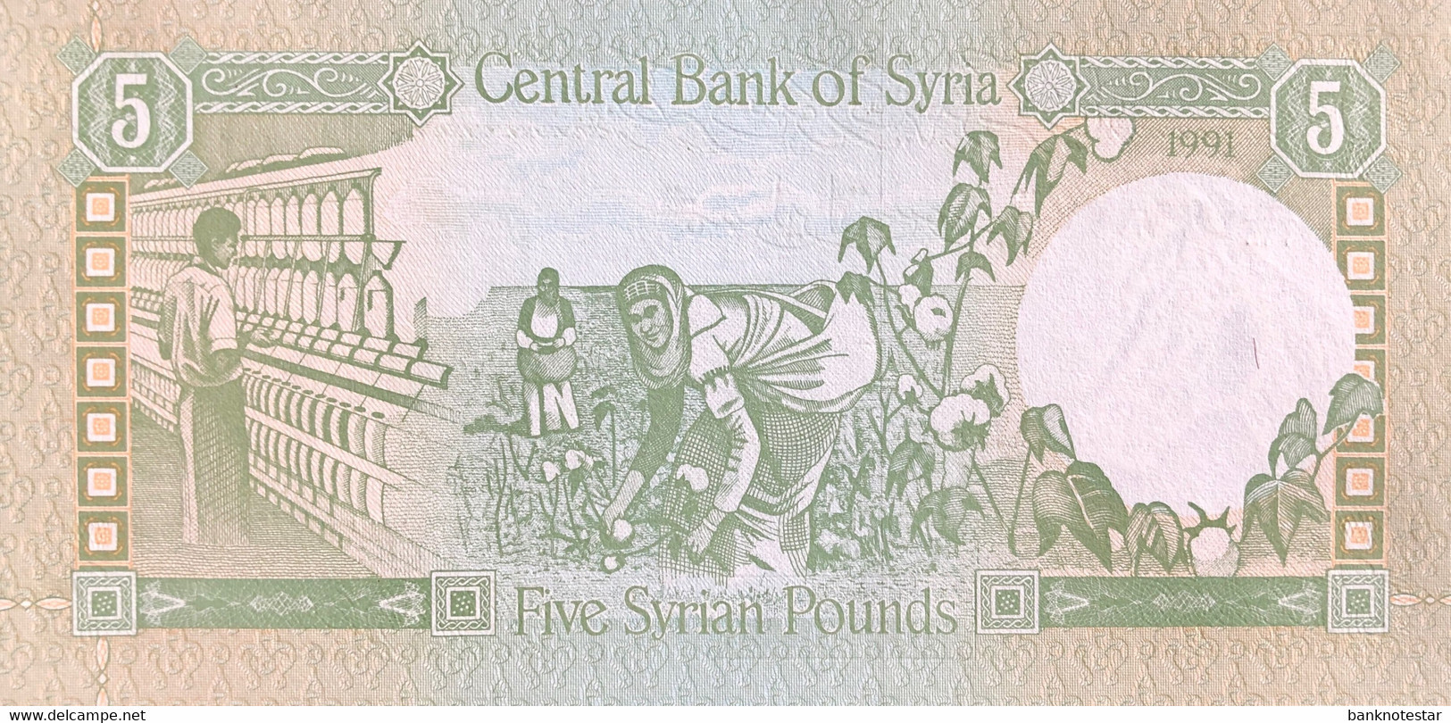 Syria 5 Pounds, P-100e (1991) - UNC - Siria