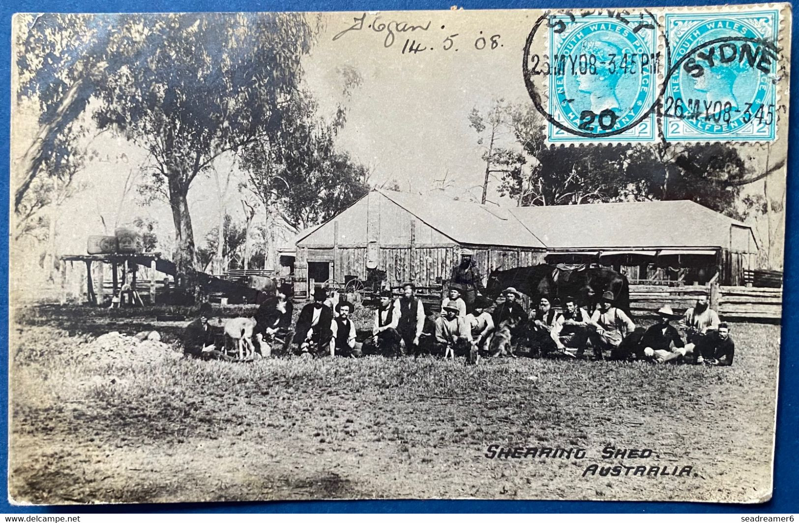 Carte Postale Photo "shearing Shed AUSTRALIA " Paire De 1/2 Penny Bleu/vert Oblitérés De SYDNEY Taxée Timbre Français - Cartas & Documentos