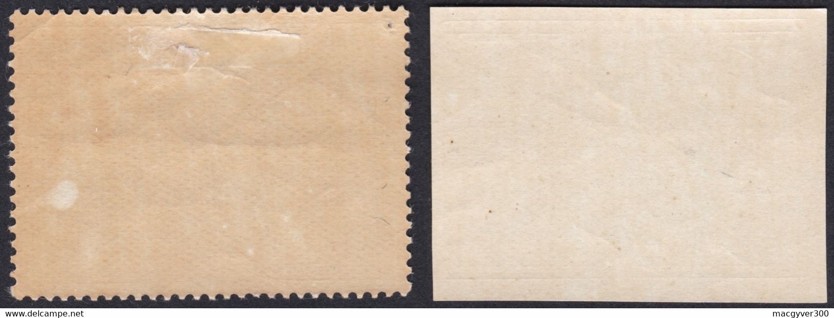 BELGIQUE, 1887, Chemins De Fer ( COB TR10 + Non Dentelé En Bonus *) - Mint