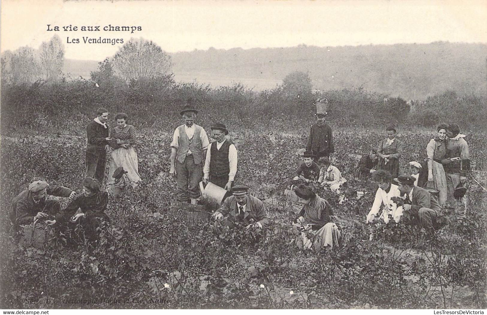 CPA Thèmes - Agriculture - La Vie Aux Champs - Les Vendanges - Animée - Héliotypie Dugas Et Cie - Série D - Wijnbouw