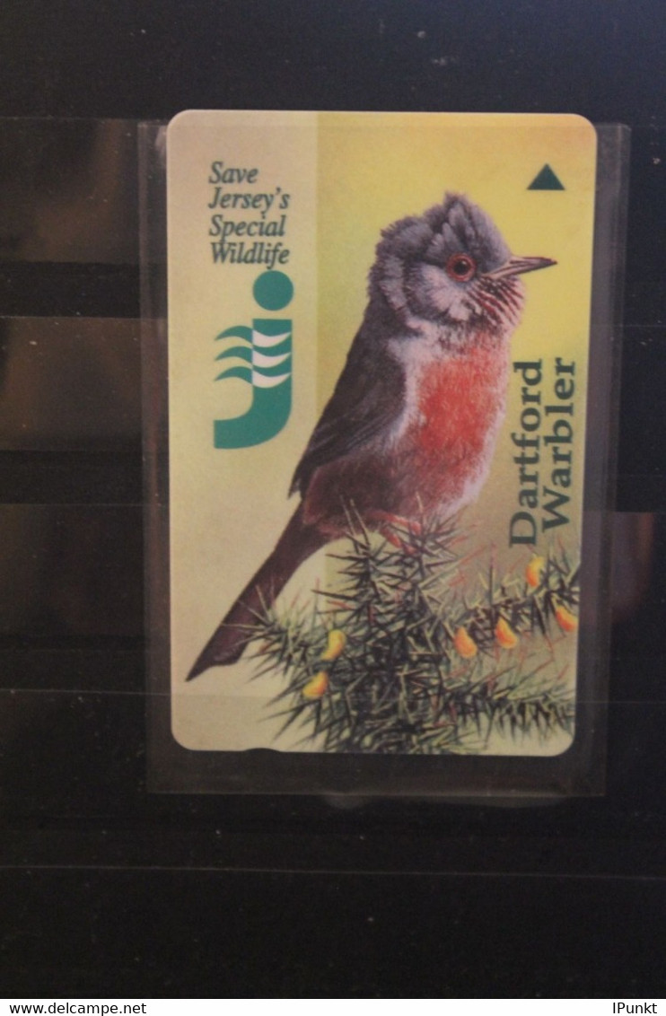 Jersey; Ca. 1992, Singvogel;  2 Pfund, Unbenutzt - Sperlingsvögel & Singvögel