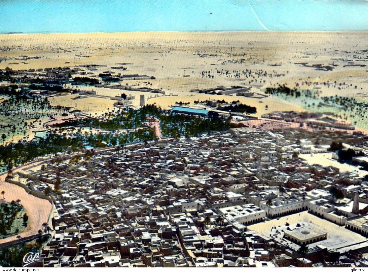 OUARGLA Vue Aérienne 1963 - Ouargla