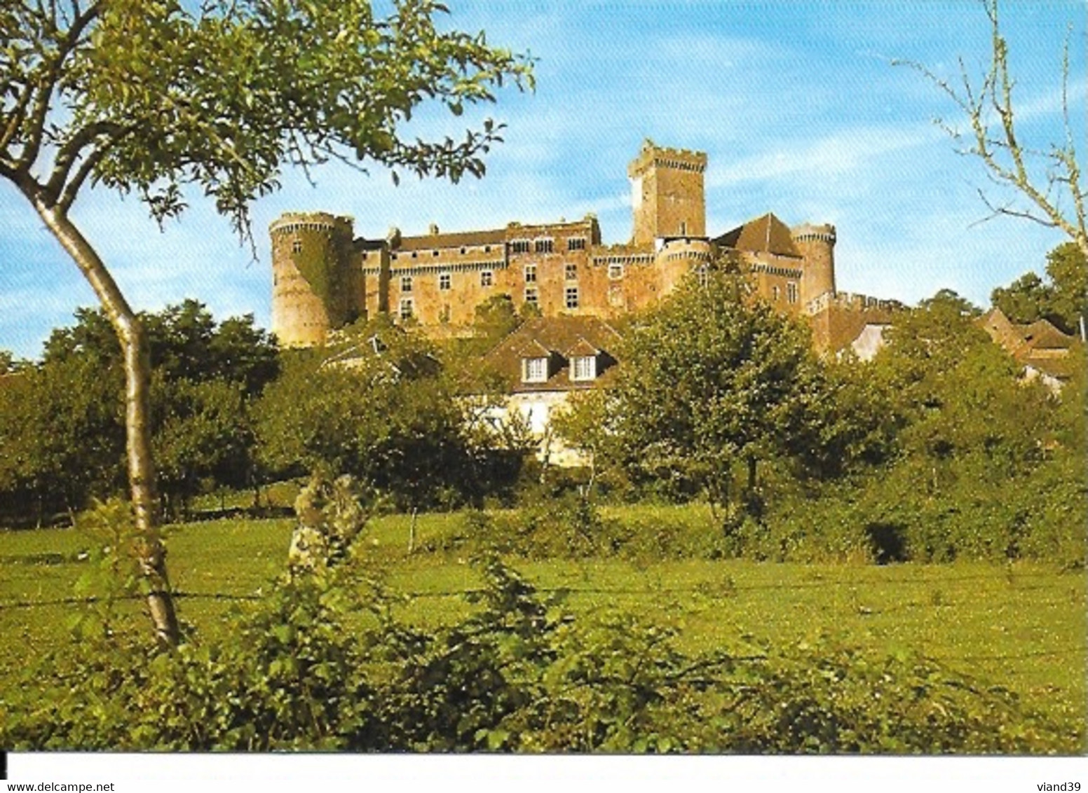 Bretenoux. -  Château De Castelnau. Architecture Militaire Du Moyen âge. -  Non écrite - Bretenoux