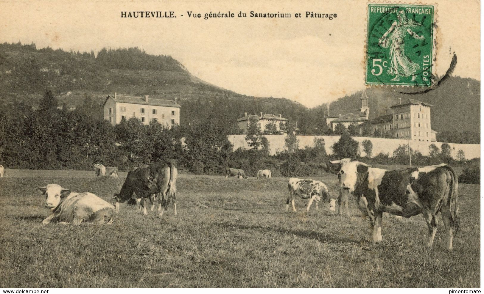 HAUTEVILLE VUE GENERALE DU SANATORIUM ET PATURAGE VACHES 1913 - Hauteville-Lompnes