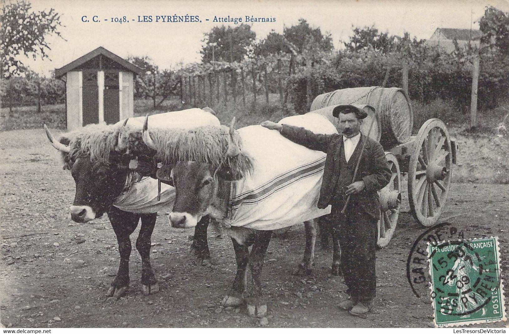 CPA Thèmes - Agriculture - Les Pyrénées - Attelage Béarnais - C. C. - Oblitérée 1909 Basses Pyrénées - Animée - Boeufs - Attelages