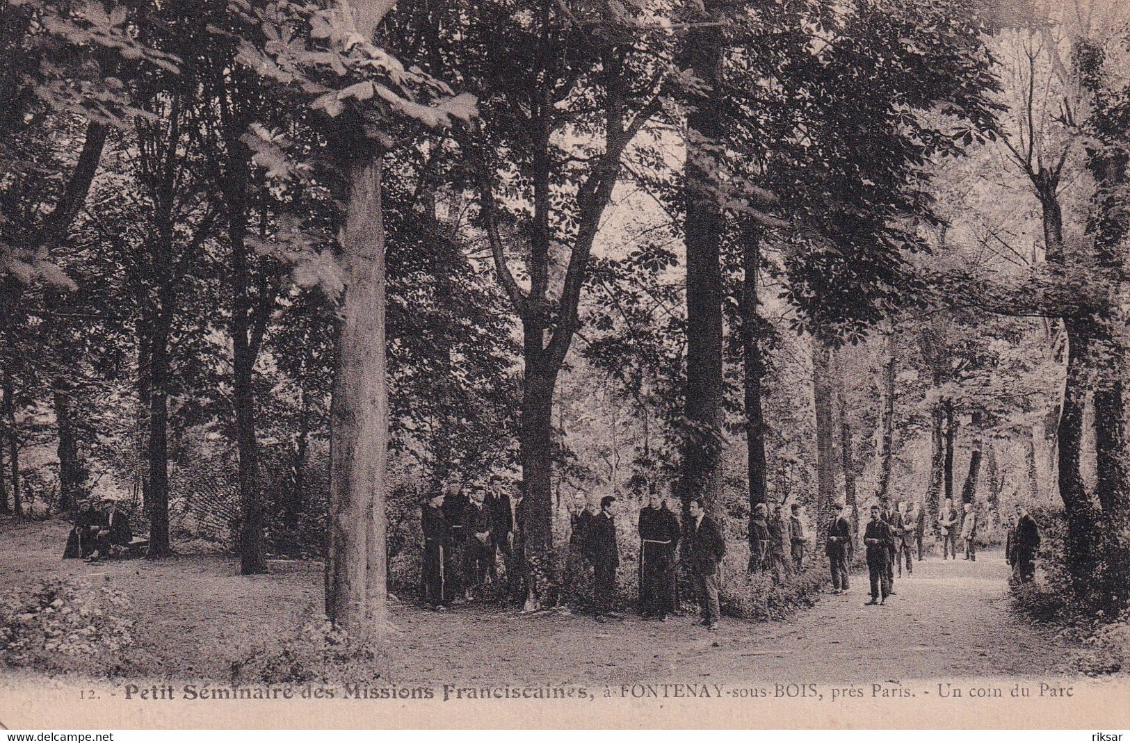 FONTENAY SOUS BOIS(ARBRE) - Fontenay Sous Bois