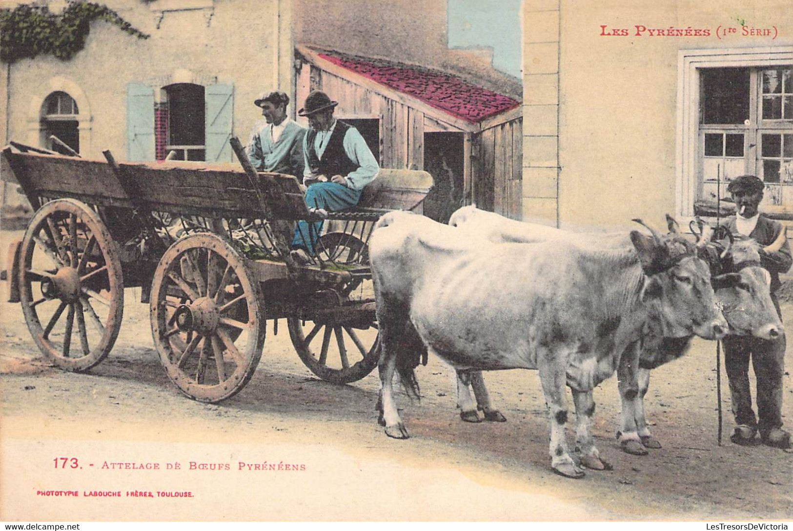 CPA Thèmes - Agriculture - Attelage De Boeufs Pyrénéens - Phototypie Labouche Frères - L. F. Toulouse - Colorisée - Equipaggiamenti