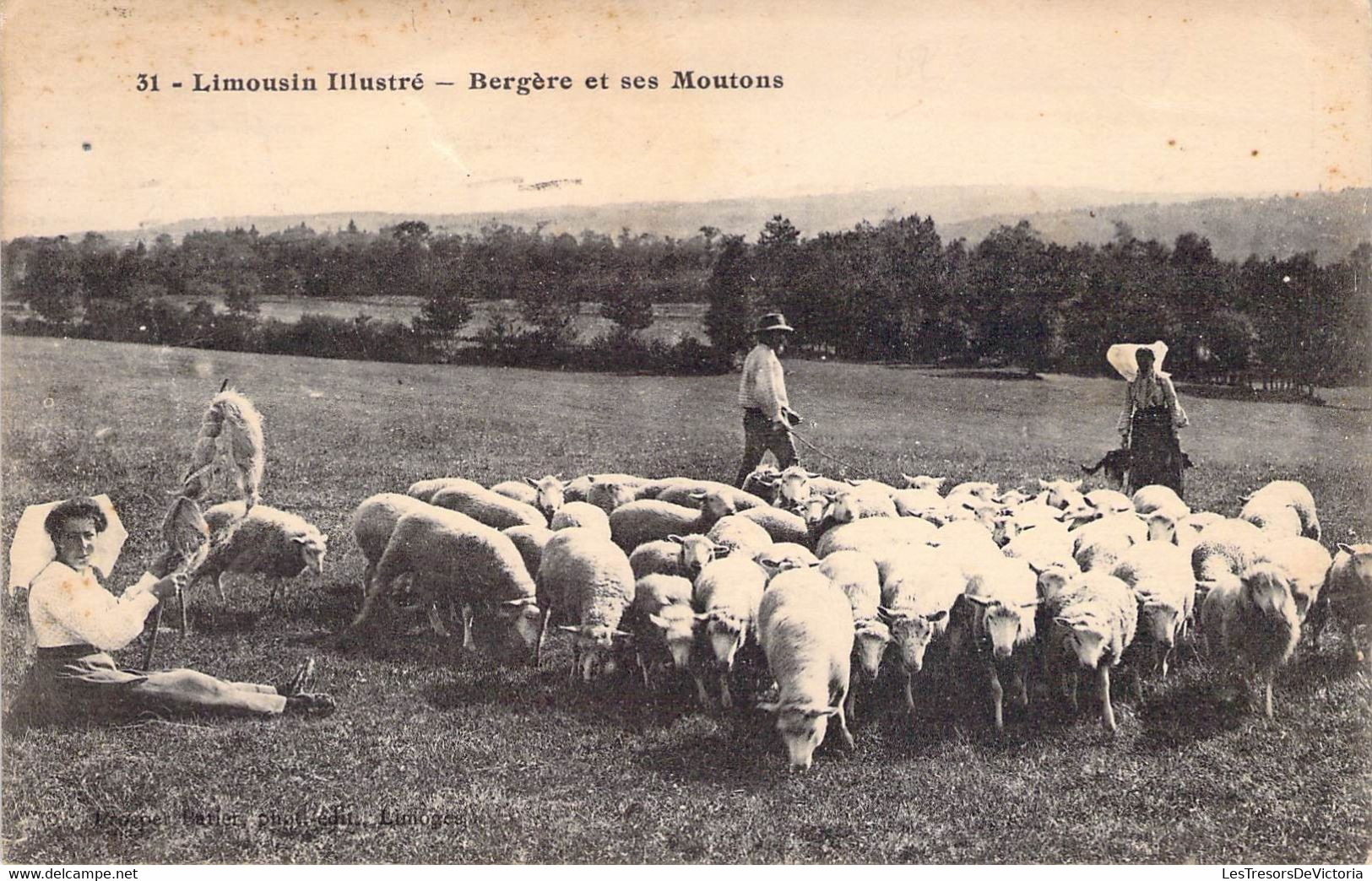 CPA Thèmes - Agriculture - Limousin Illustré - Bergère Et Ses Moutons - Oblitérée Limoges 1923 - Animée - Breeding