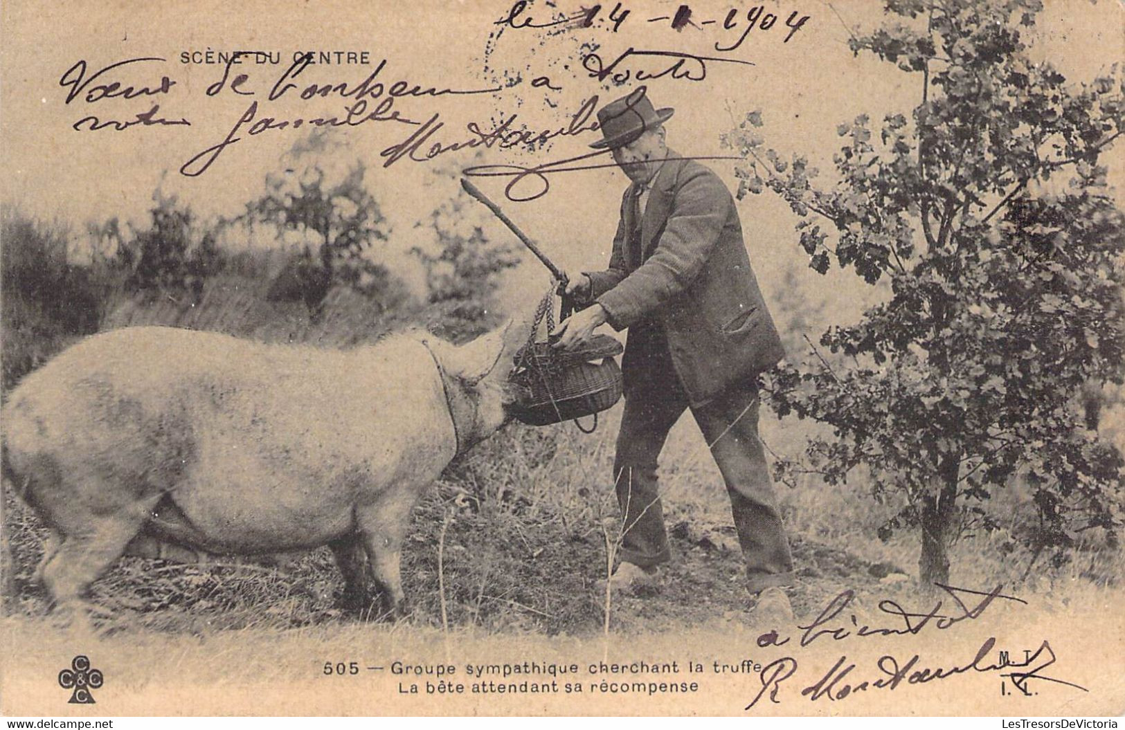 CPA Thèmes - Agriculture - Groupe Sympathique Cherchant  La Truffe - La Bête Attendant Sa Récompense - Dos Non Divisé - Breeding