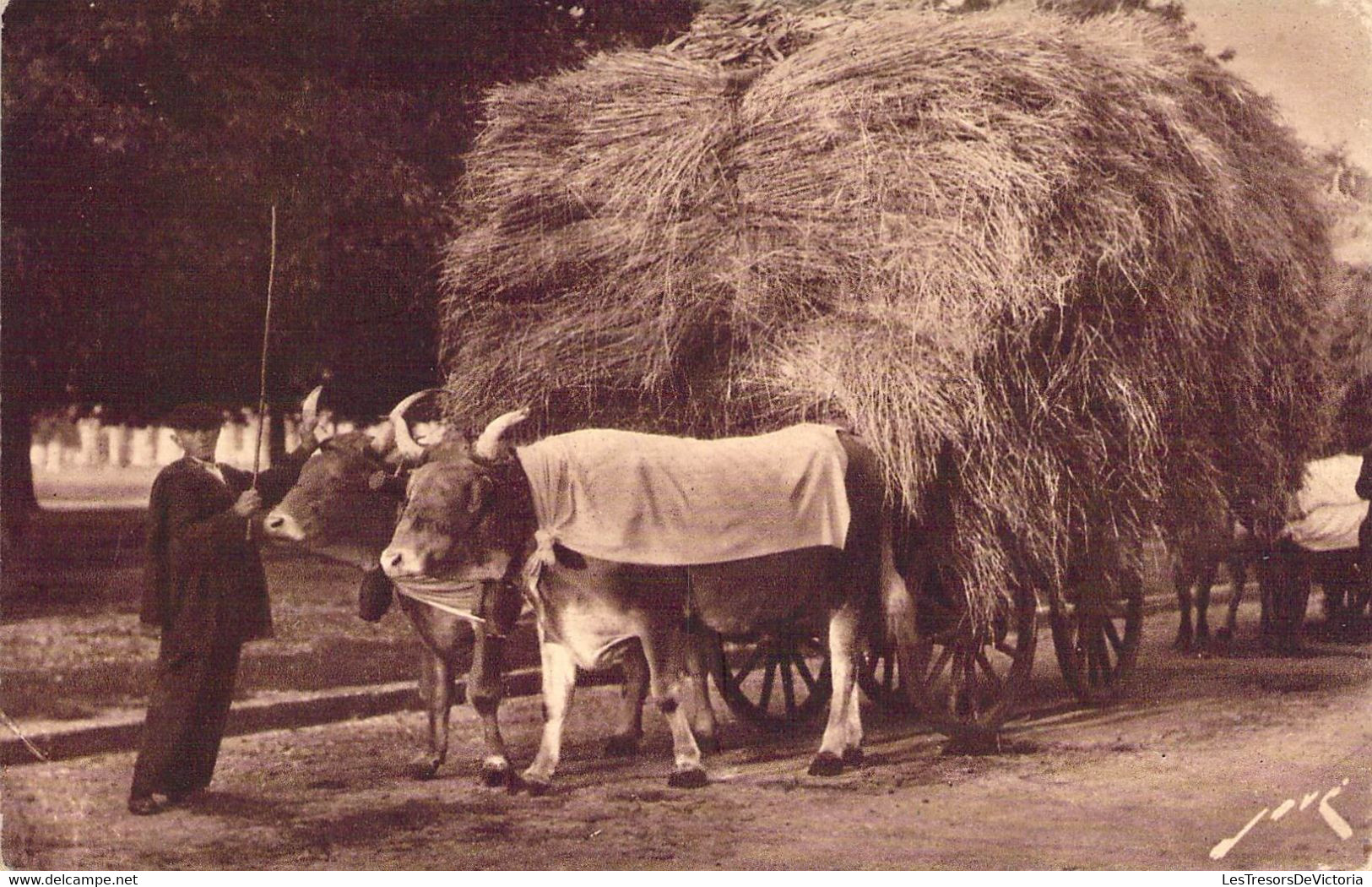 CPA Thèmes - Agriculture - Toute La France - Terroir Pyrénéen - Un Attelage Paysan - Editions Jové - Pau - Héliog. Luxe - Spannen