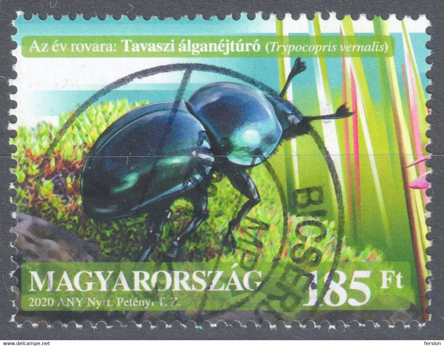 Spring Dumbledor Beetle / INSECT / Moss / Trypocopris Vernalis HUNGARY 2020 Postmark BICSÉRD Baranya - Oblitérés