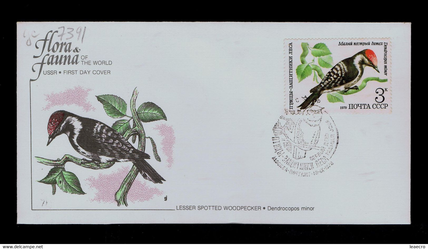 Gc7391  "Lesser Spotted Woodpecker" The Male Chooses A Forest Faune Animal Oiseaux Protection De La Nature 1979 - Pavoni