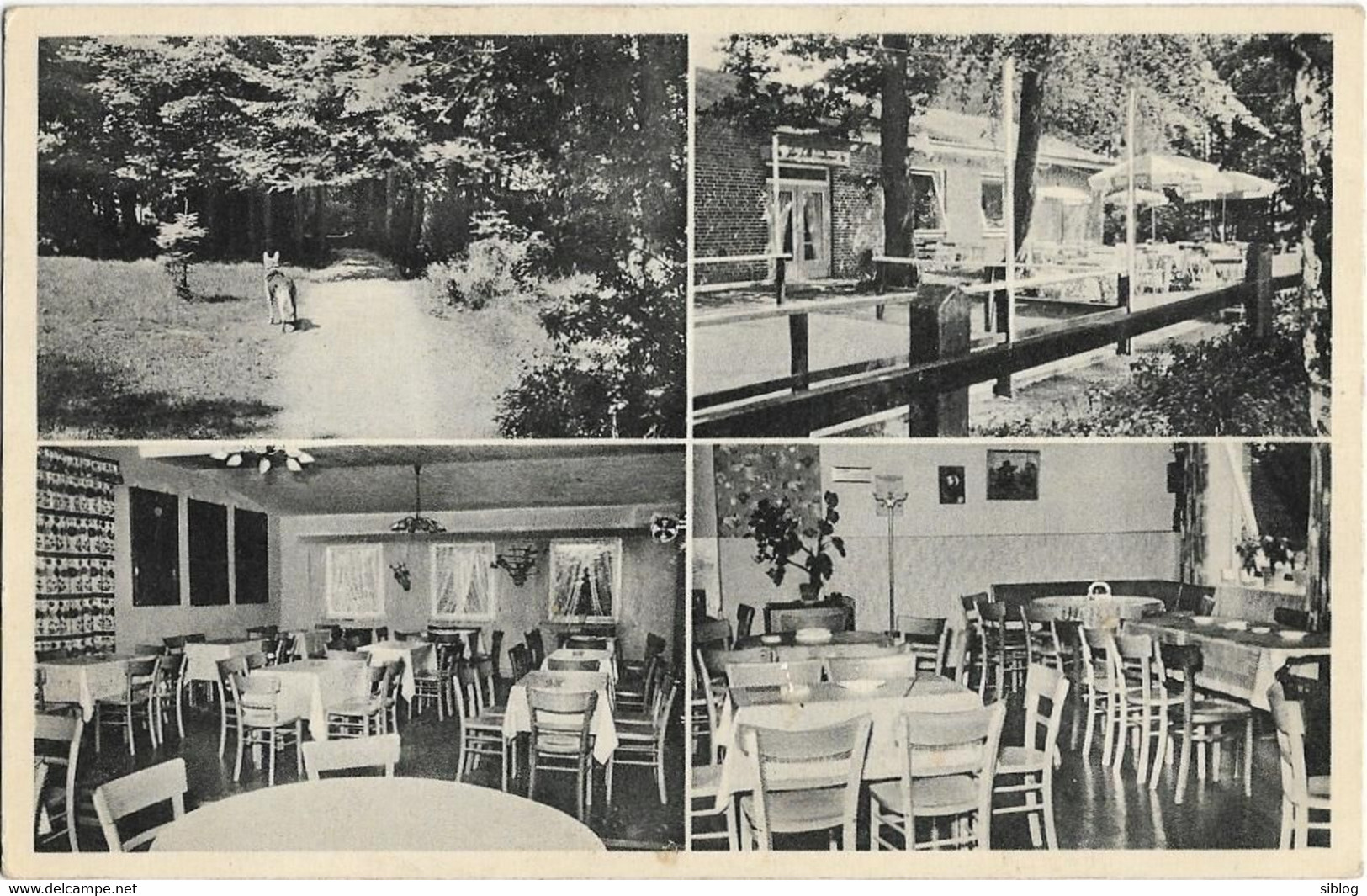 CPSM - Schützenpark - SCHWARZENBEK - Multivues (Klubzimmer Fur 100 Personnes, F. Ludwig) - Schwarzenbeck