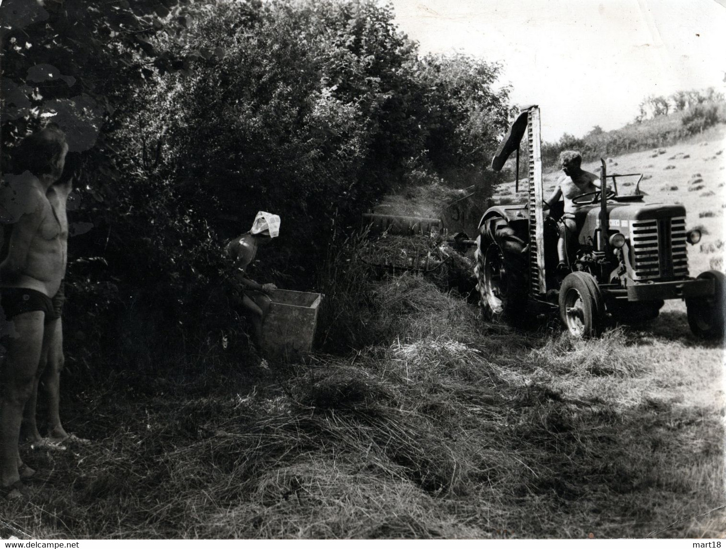 Photo - Années 1950/1960 - Tracteur Fauchant - - Tracteurs