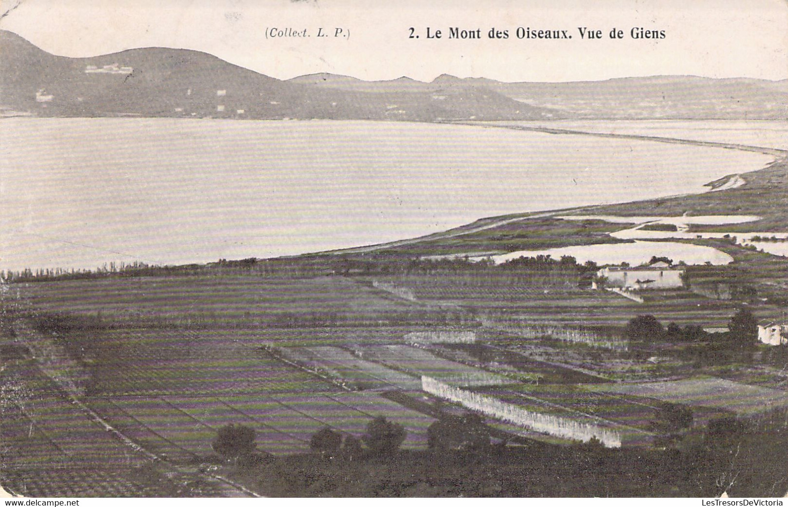 CPA - FRANCE - Le Mont Des Oiseaux HYERES - Vue De Giens - Hyeres