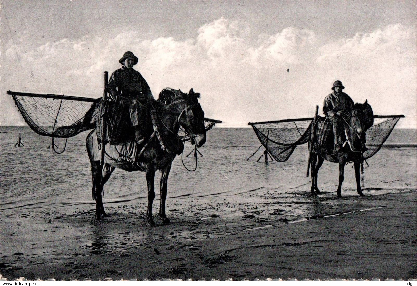 Coxyde Baden - Garnalenvissers - Koksijde