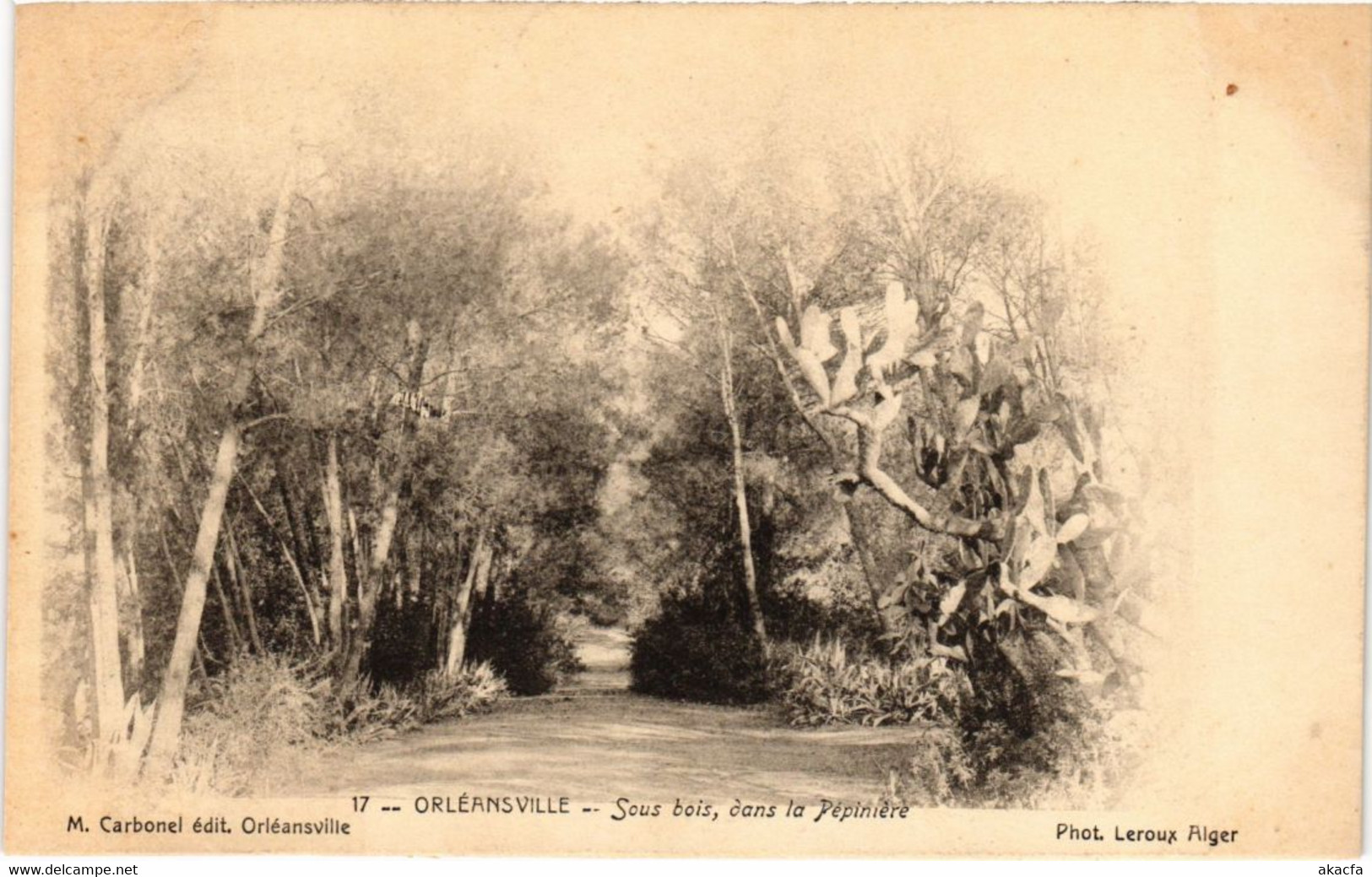 CPA AK ORLEANSVILLE Sous Bois Dans La Pepiniere ALGERIE (1189902) - Chlef (Orléansville)