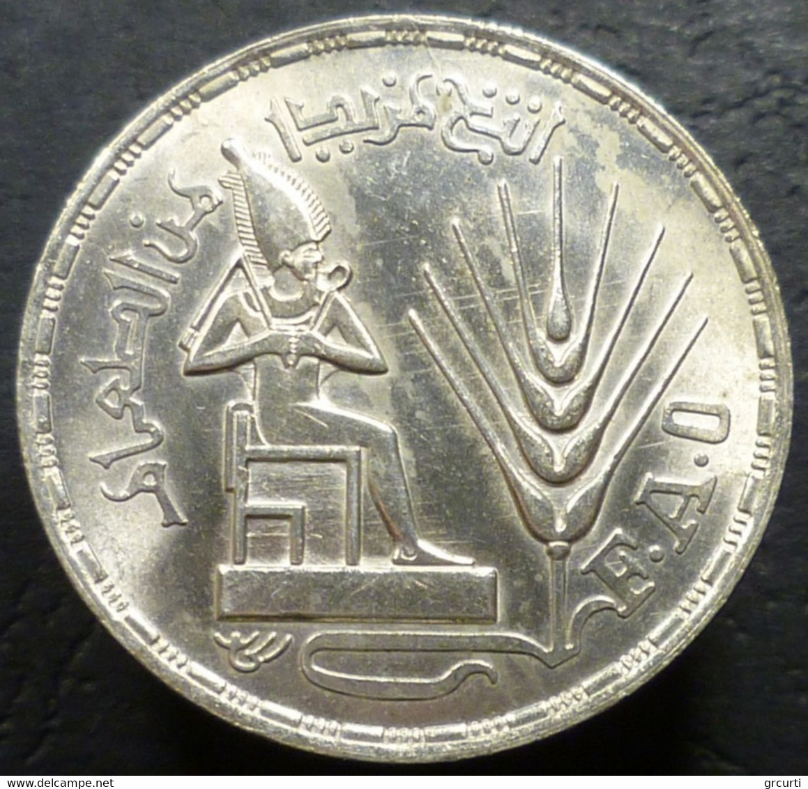 Egitto - 1 Pound 1976 - F. A. O. - KM# 453 - Egypt