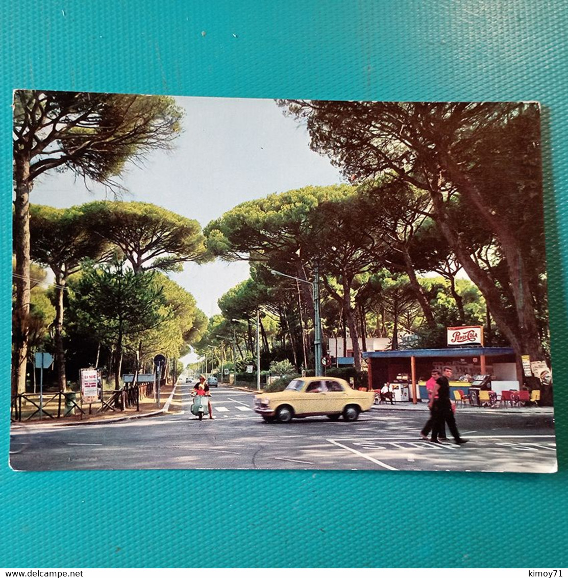 Cartolina Fregene - Viali In Pineta. Viaggiata 1967 - Fiumicino