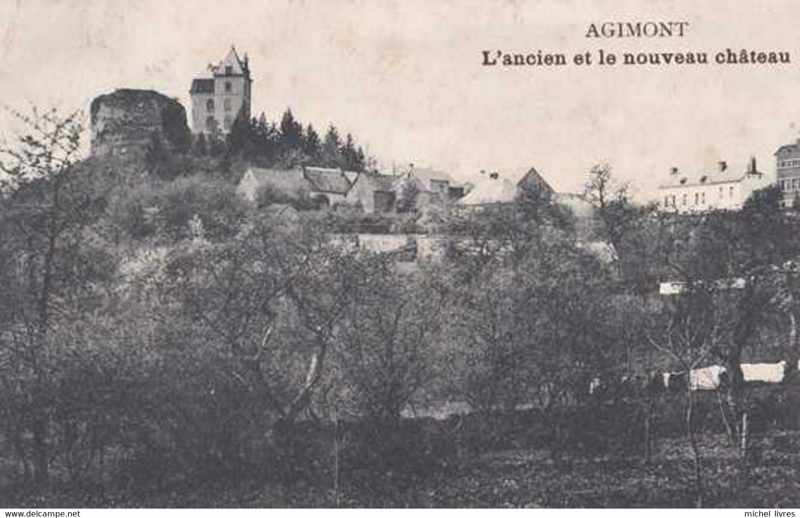 Agimont - L'ancien Et Le Nouveau Château - Circulé - Hastière - TBE - Hastière