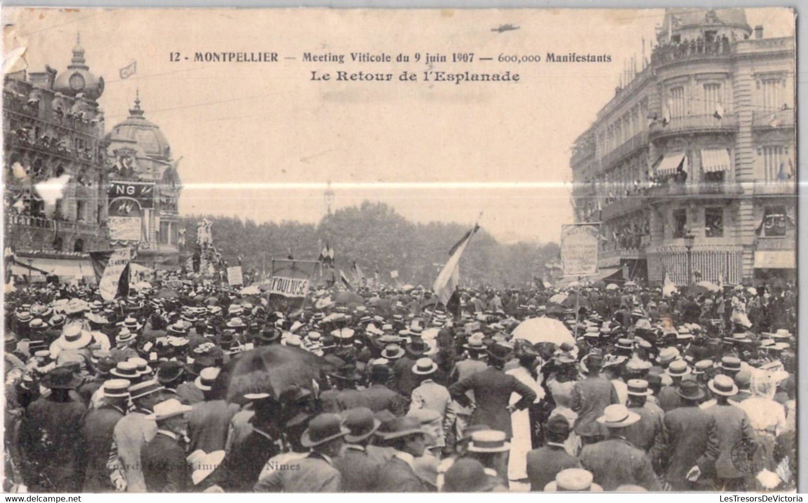 CPA Thèmes - Politique - Montpellier - Meeting Viticole Du 9 Juin 1907 - 600000 Manifestants - Le Retour De L'Esplanade - Evènements
