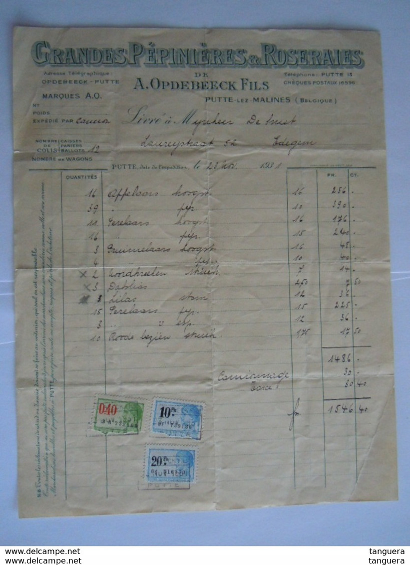 1931 A. Opdebeeck Fils Putte-lez-Malines Grandes Pépinières & Roseraies Factuur Fruitbomen Voor Edegem Taxe 30,40 Fr - Agricultura