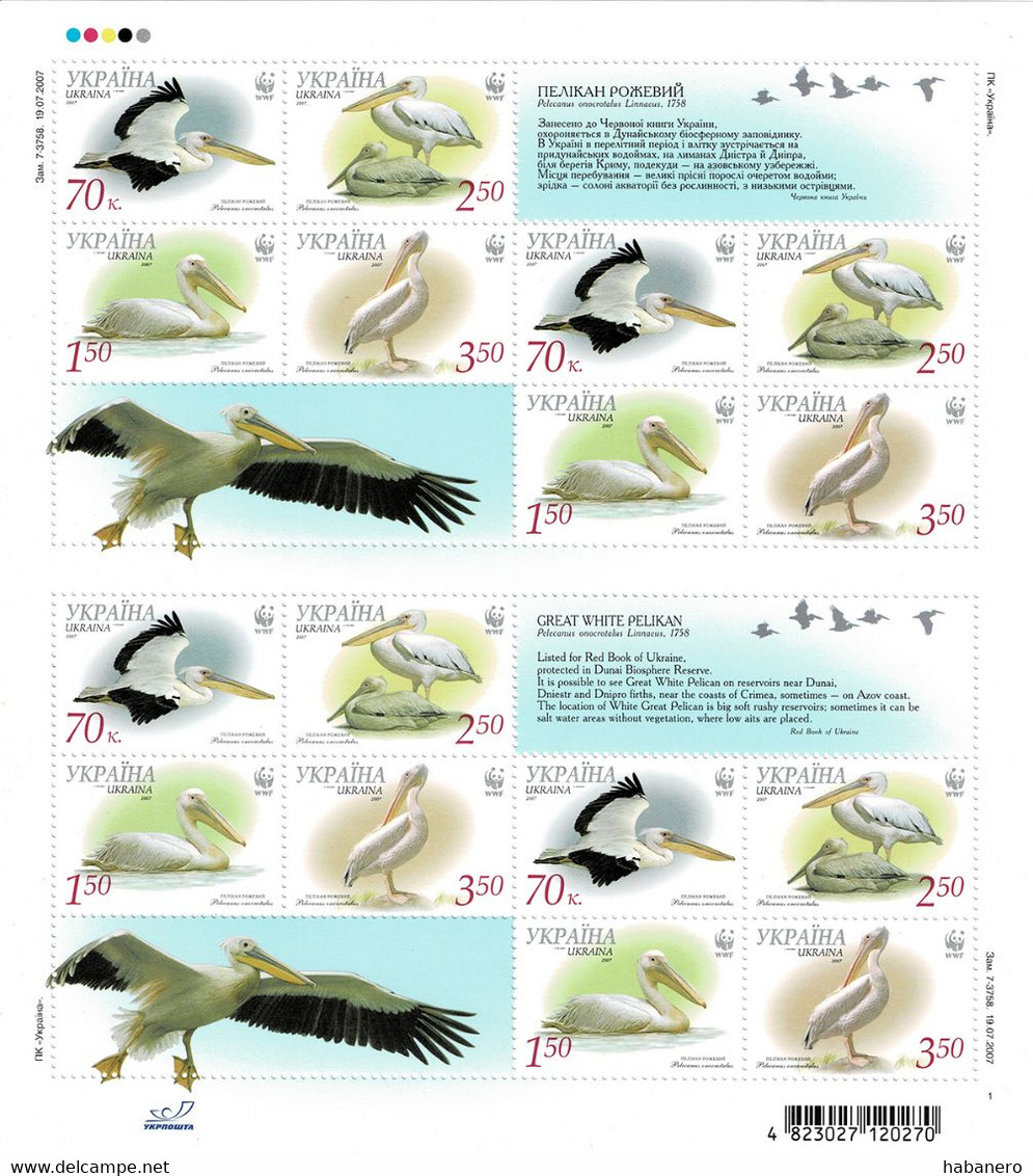 UKRAINE 2007 Mi 897-900C WWF BIRDS GREAT WHITE PELICAN MINT FULL SHEET ** - Pelikane