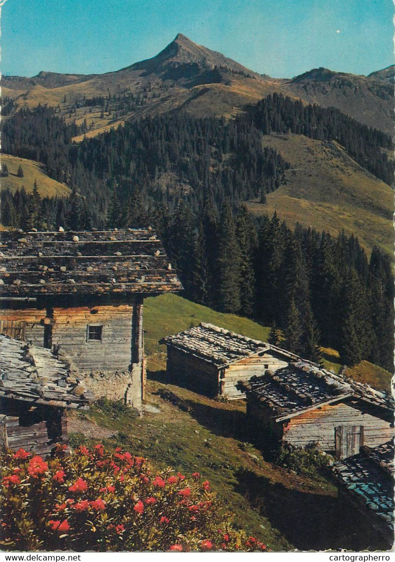 Postcard Austria Almhutten Im Brixental Gegen Brechhorn - Brixen Im Thale