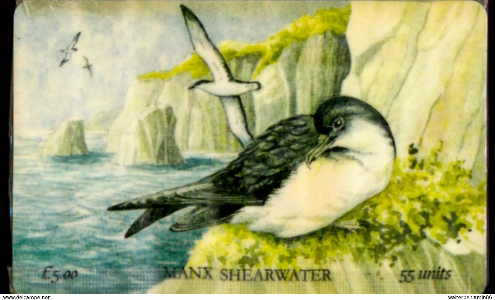 SCHEDA PHONECARD NEW IN BLISTER ISLE OF MAN MANX SHEARWATER - Man (Eiland)