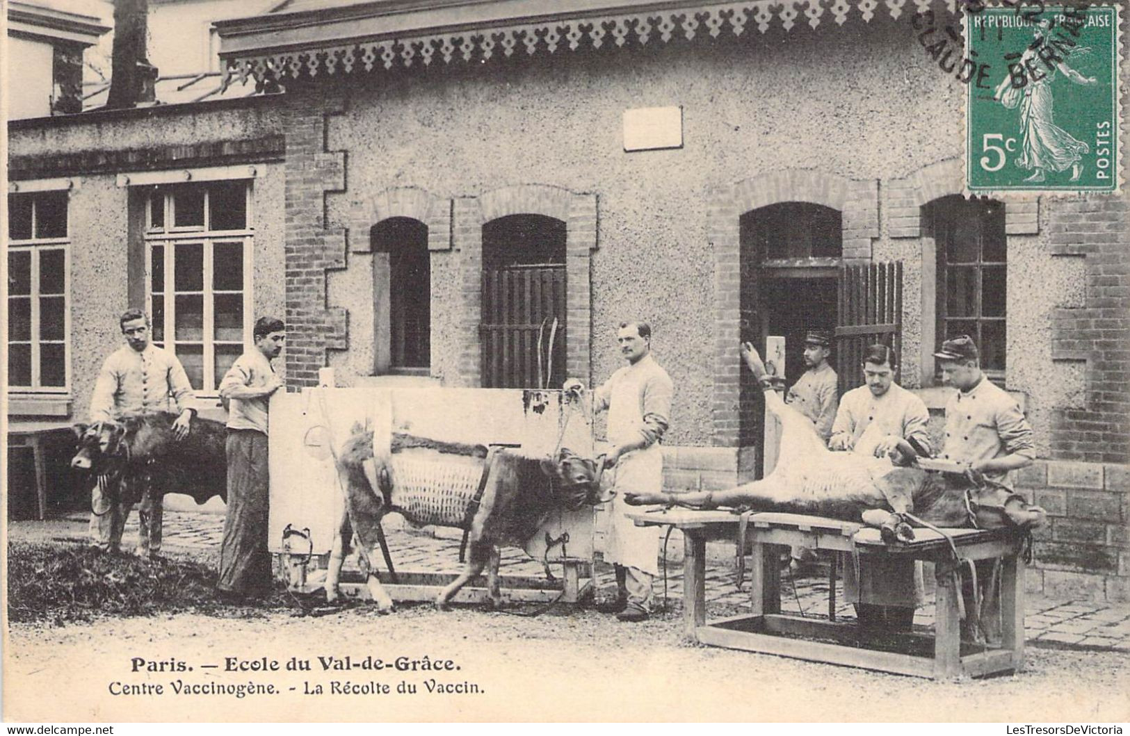 CPA Thèmes - Métiers - Paris - Ecole Du Val De Grâce - Centre Vaccinogène - La Récolte Du Vaccin - Oblitérée 1911 - Autres & Non Classés