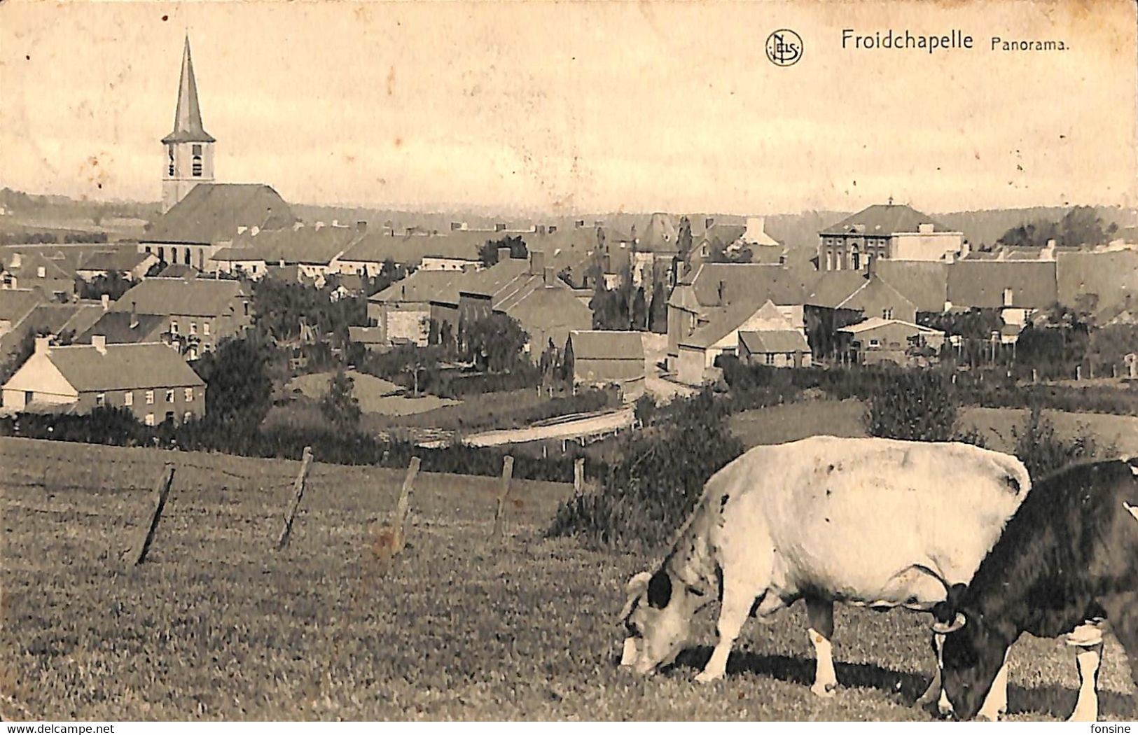 Froidchapelle - Panorama - Froidchapelle