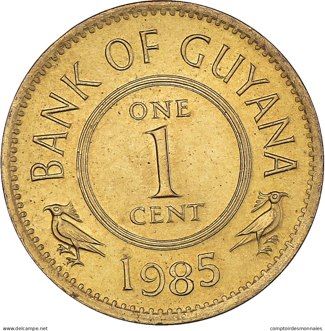 Monnaie, Guyana, Cent, 1985 - Guyana