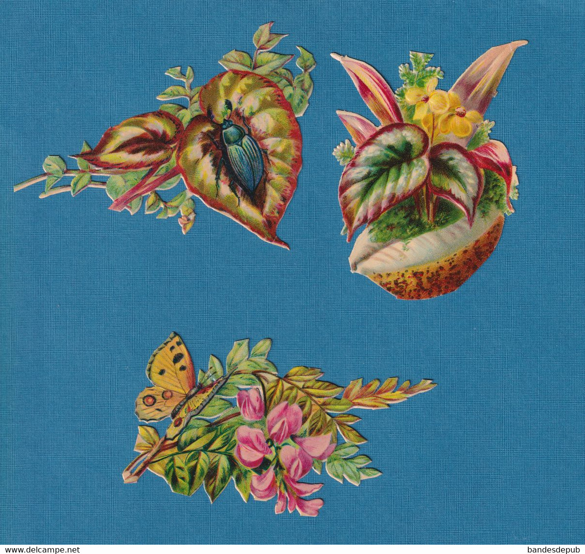 Chromo Decoupis Gaufré  Fleurs Plantes Insecte Coquillage Papillon En Très Bel état 1890 Environ 9 Cm - Bloemen