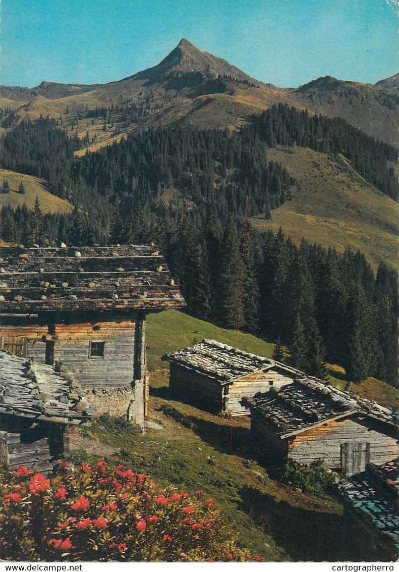 Postcard Austria Almhutten Im Brixental Gegen Brechhorn - Brixen Im Thale