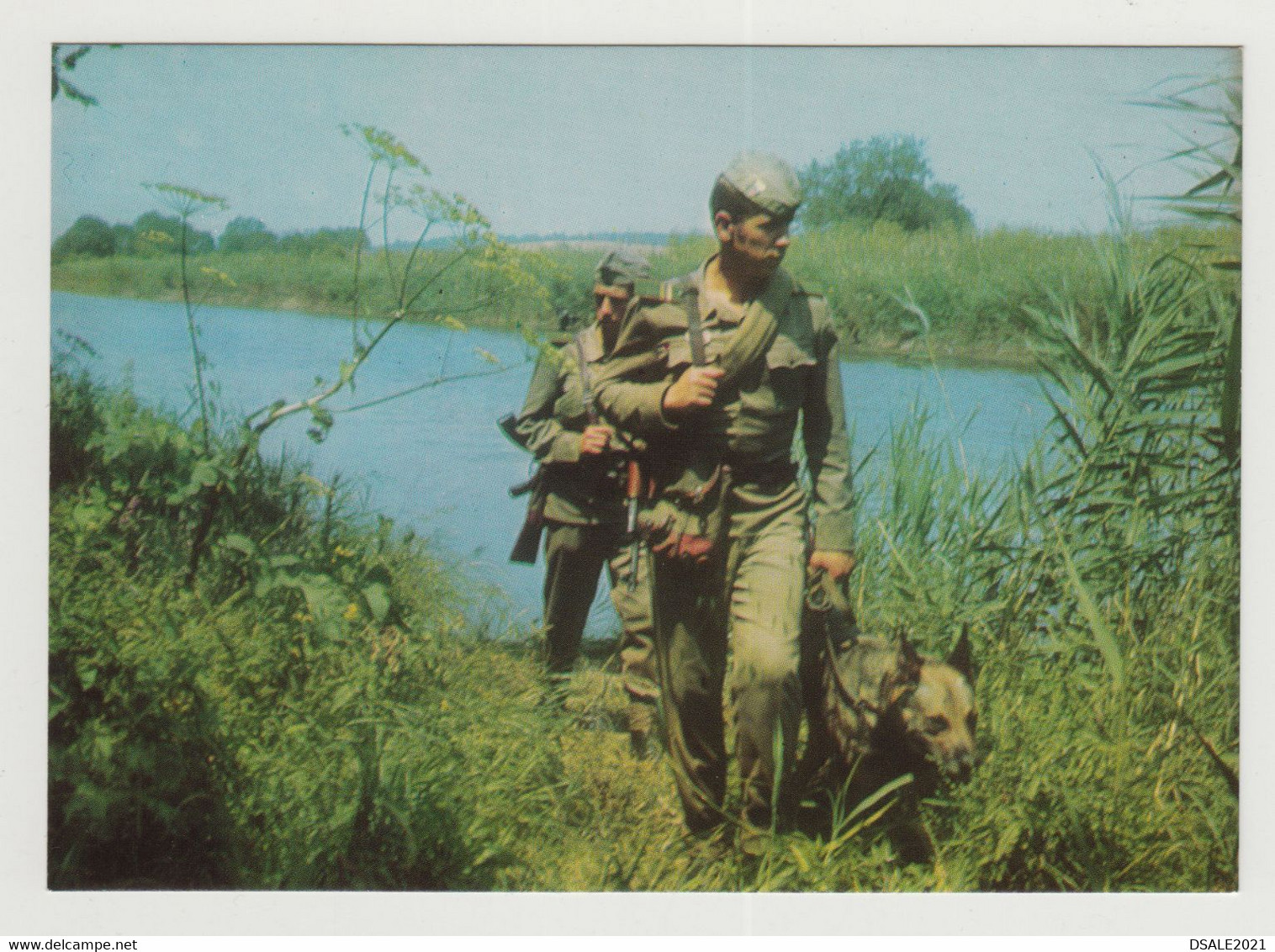 Bulgaria, People's Republic Of Bulgaria, Bulgarian, Border Troops, Dog, Communist Propaganda Photo Postcard RPPc (771) - Matériel