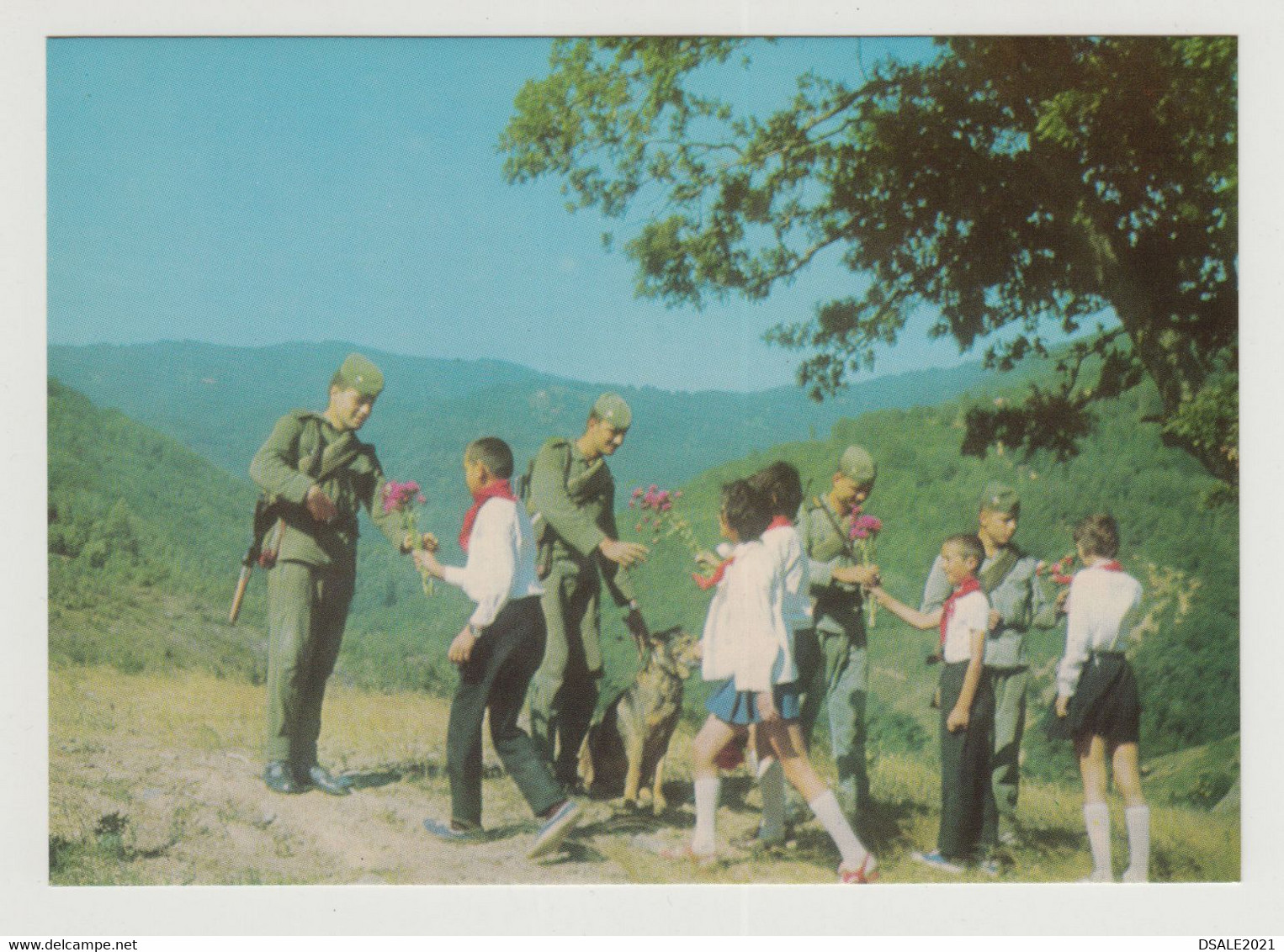 Bulgaria, People's Republic Of Bulgaria, Bulgarian, Border Troops, Pioneers, Dog, Communist Propaganda Postcard (768) - Matériel