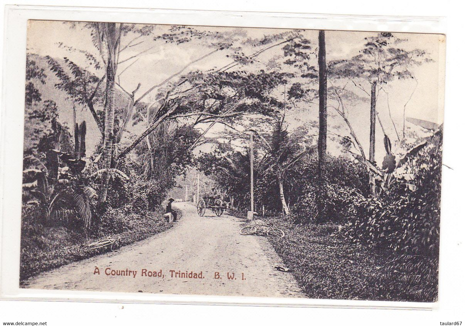 Trinidad  Tobago A Country Road - Trinidad