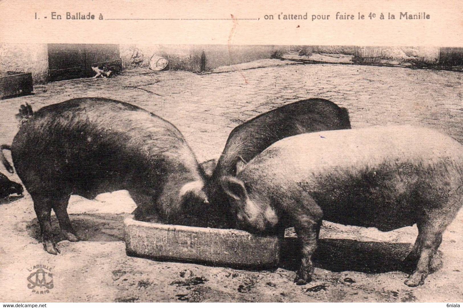 16282 En Balade .....On T'attend Pour Faire Le 4e à La Manille ( 3 COCHONS  Dans Leur Auge   ( 2 Scans ) Cochon - Pigs