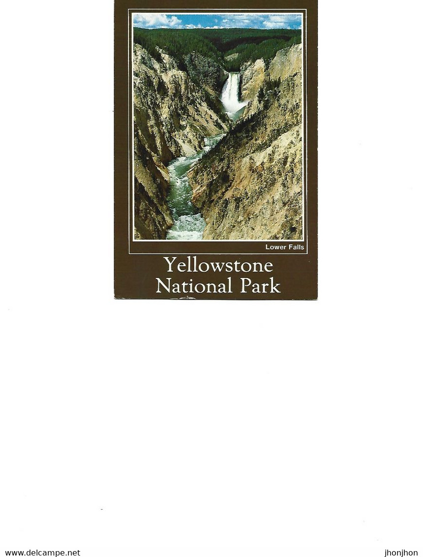 USA - Postcard Used   -  Yellowstone National Park - Lower Falls - 2/scans - Yellowstone