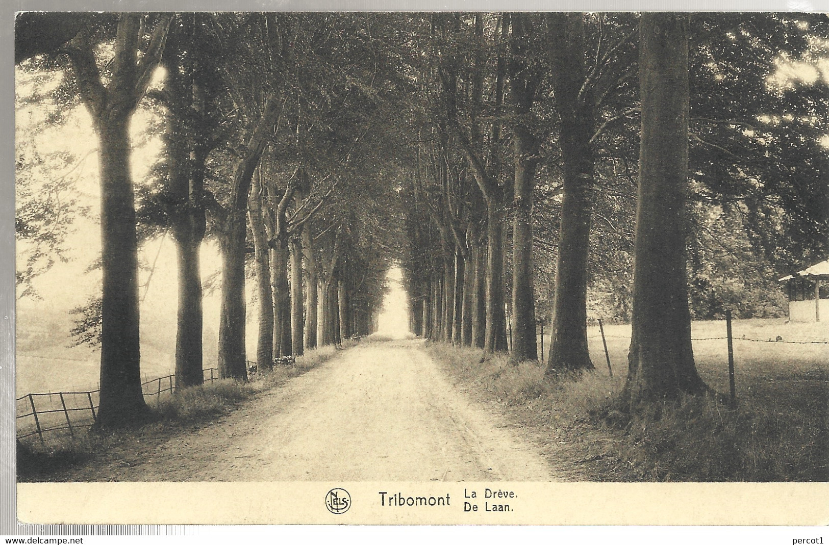 JM03.01 / CPA / TRIBOMONT / LA DREVE - Herve