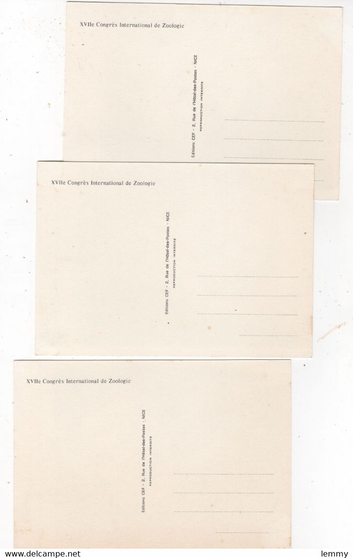 MONACO - CONGRÈS INTERNATIONAL DE ZOOLOGIE - LOT DE 3 CARTES MAXIMUM 1972 - - Colecciones & Lotes