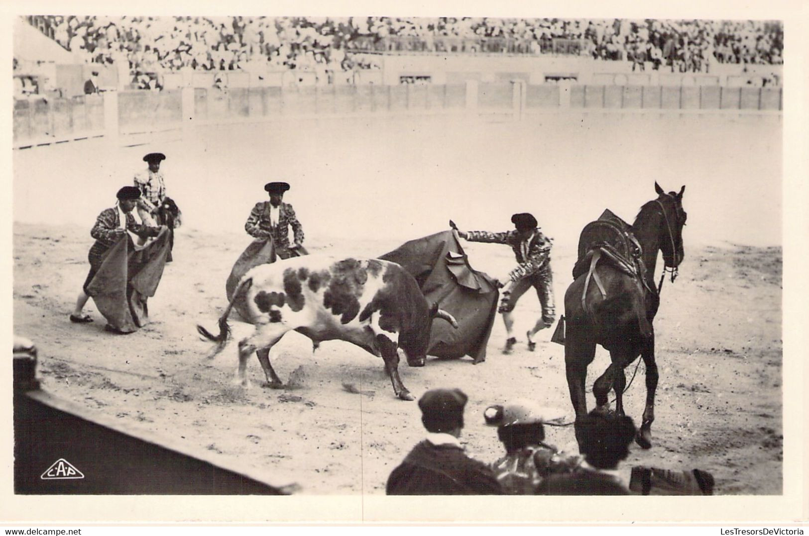 CPA CORRIDA - 15 - Courses De Taureaux - Passe De Manteau Dite Véronique - Stierkampf