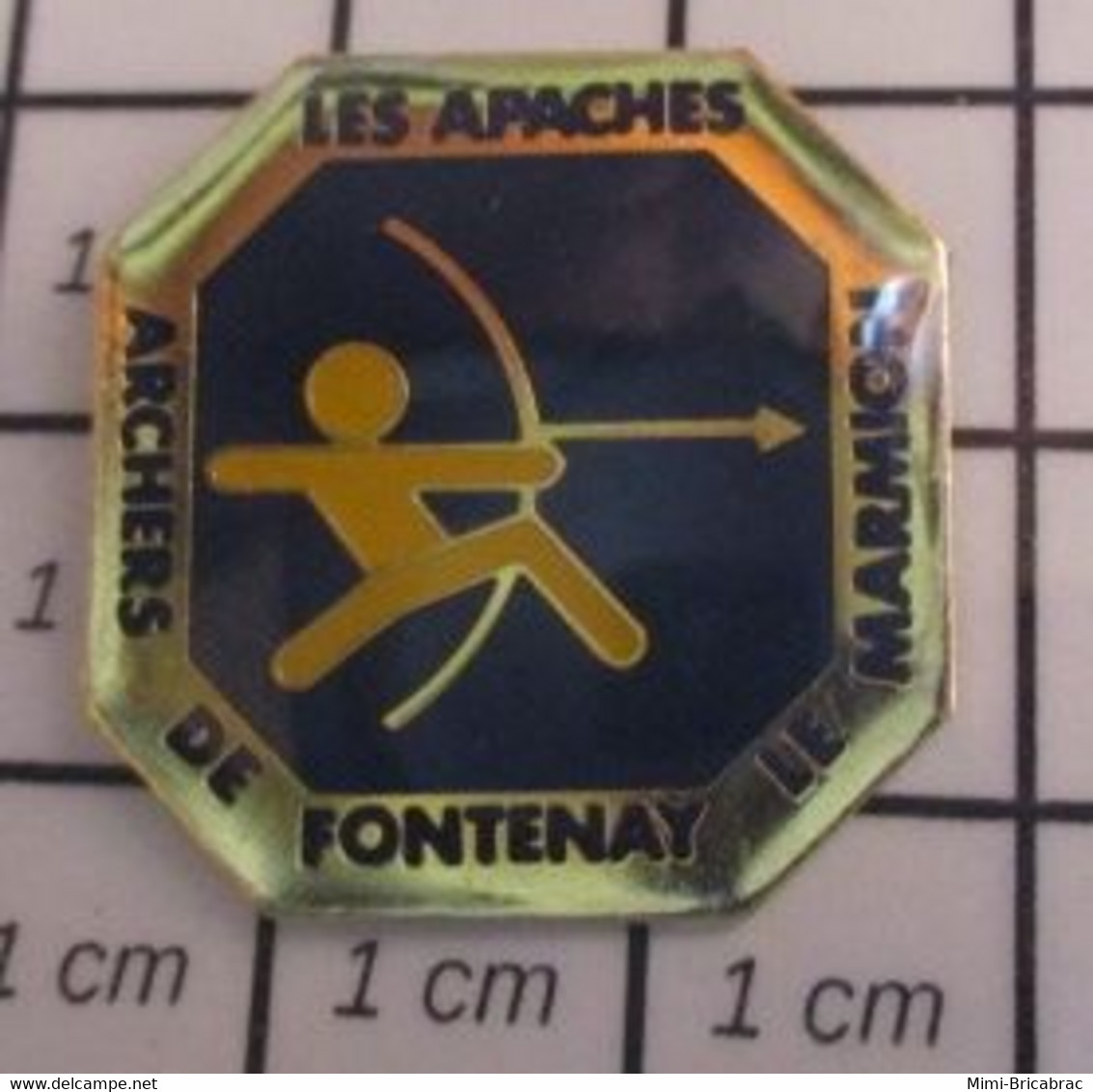 410f Pin's Pins / Beau Et Rare / SPORTS / TIR A L'ARC CLUB LES ARCHERS FONTENAY LE MARMION CALVADOS - Archery
