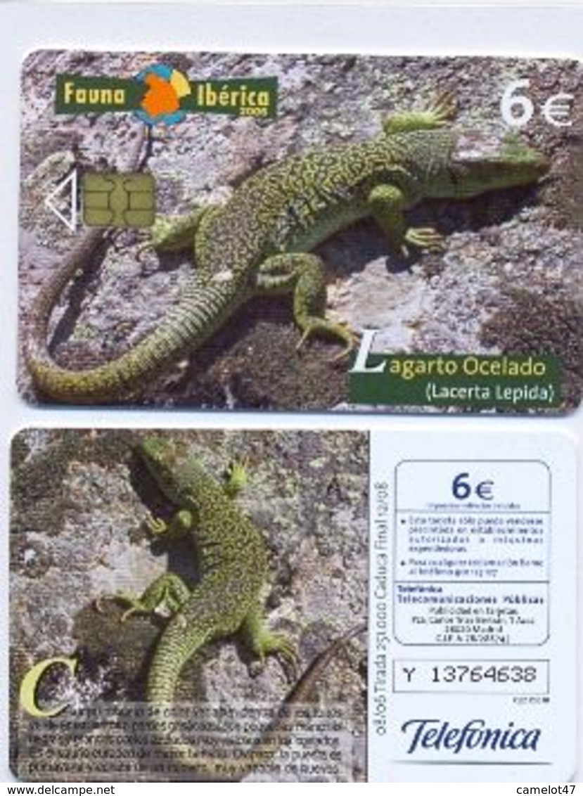 Spain Fauna Ibérica, LAGARTO OCELADO, Used Chip Phone Card - Otros & Sin Clasificación