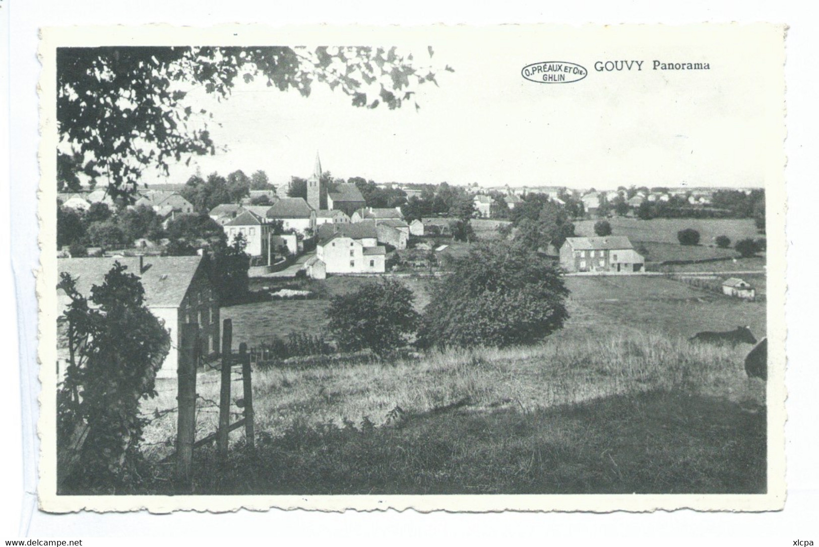 Gouvy Panorama ( Carte Ayant Voyagé ) - Gouvy